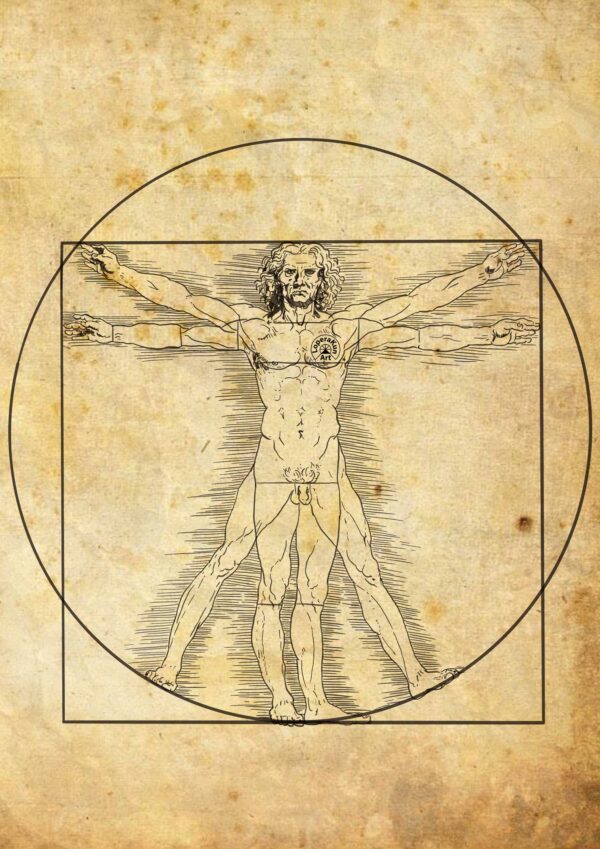 The Vitruvian Man. Leonardo da Vinci. Digital illustration. Procreate. David Lopera Gómez
