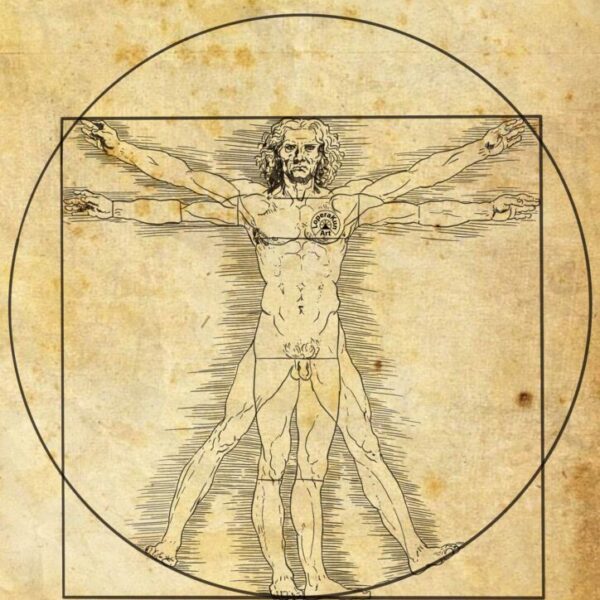 The Vitruvian Man. Leonardo da Vinci Limited. Deluxe Prints