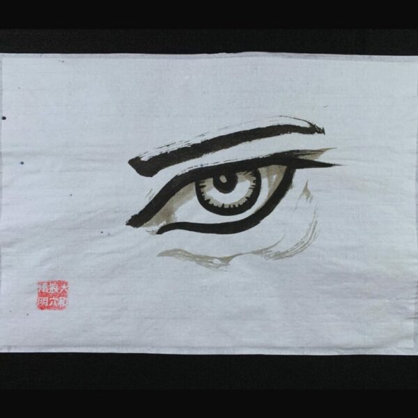 Visión II. Serie Héroes. Sumi-e. Tinta china sobre papel de arroz. David Lopera Gómez. Pintura de un ojo
