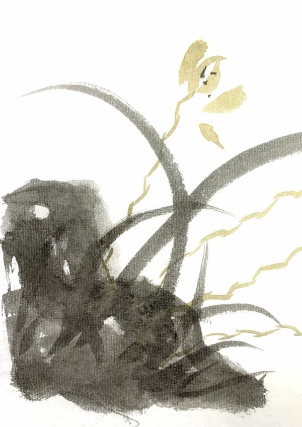 Cuarteto de orquídeas salvajes. Sumi-e. Tinta china sobre papel de arroz. Detalle rocas